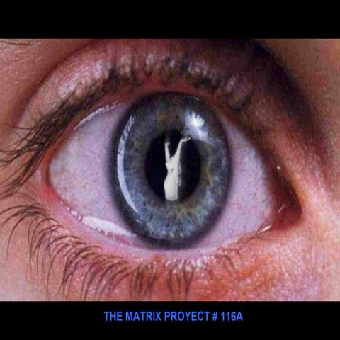 The Matrix Proyect #116A. THE STORY OF THE HUMAN HERD