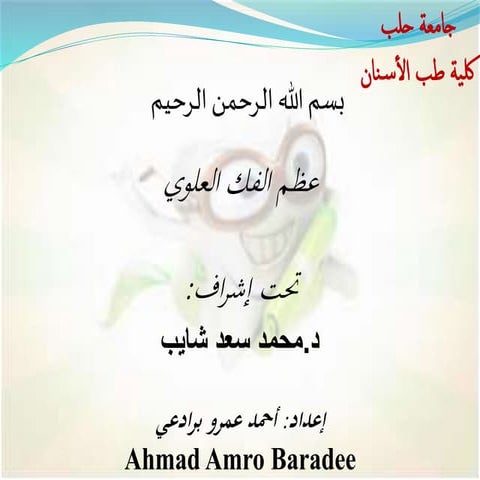 The Maxilla - Anatomy تشريح عظم الفك العلوي