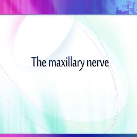 The maxillary nerve
