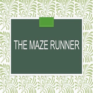 The maze runner