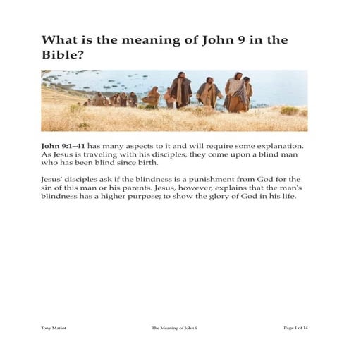 the-meaning-of-john-9-pdf