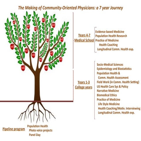 The Medical School Startup: Reshaping Medical Education (Maurizio Trevisan)