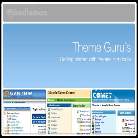 Theme Gurus