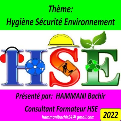 THEME  INDUCTION HSE   .pptx