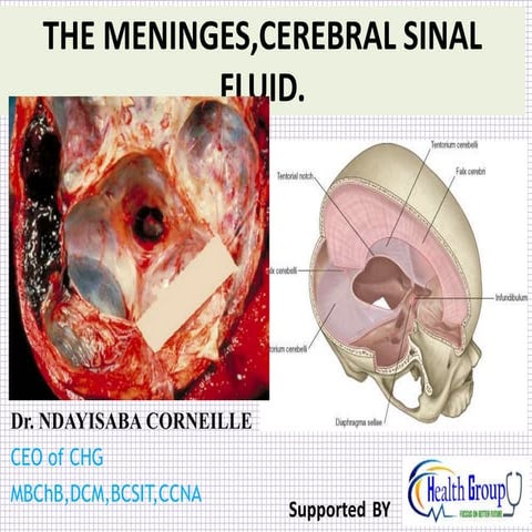 THE_MENINGES,CEREBRAL_SINAL_FLUID.pptx
