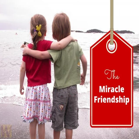 Miracle Friend Quotes Friendship Is Never Established As An