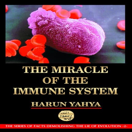 The miracle of the immune system. english