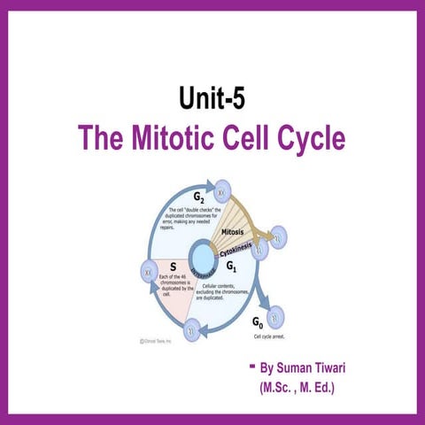 The mitotic cell cycle