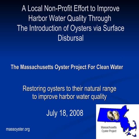 Oyster Restoration Boston Massachusetts