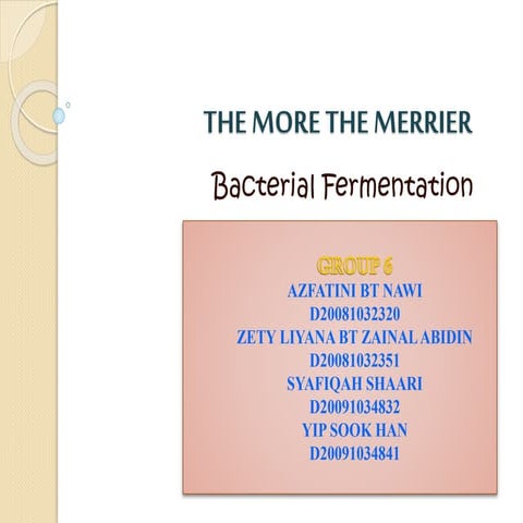 The More The Merrier