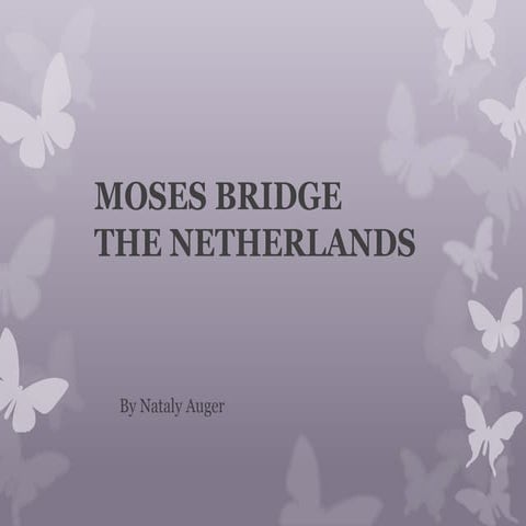 The moses bridge, the netherlands | PPTX