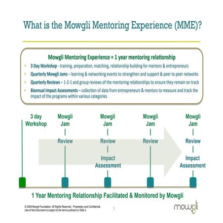 The Mowgli Mentoring Experience