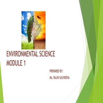 Concept of Environmental Studies | PPTX
