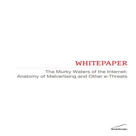 The Murky Waters of the Internet: Anatomy of Malvertising and Other e-Threats