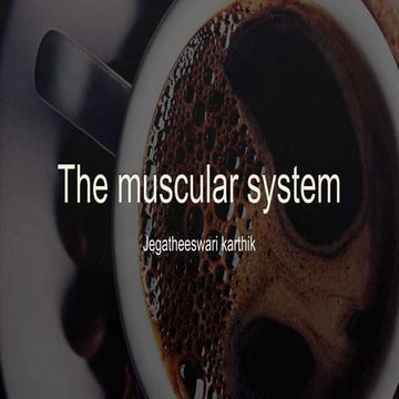 The muscular system