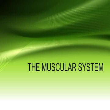 THE MUSCULAR SYSTEM.pptx