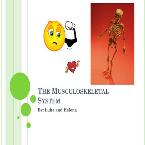 The musculoskeletal system SSA+S