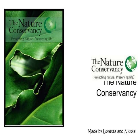 The Nature Conservancy | PPT