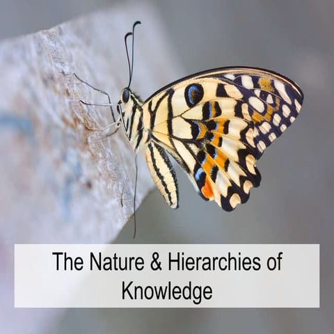 The nature of knowledge 2014 | PPTX