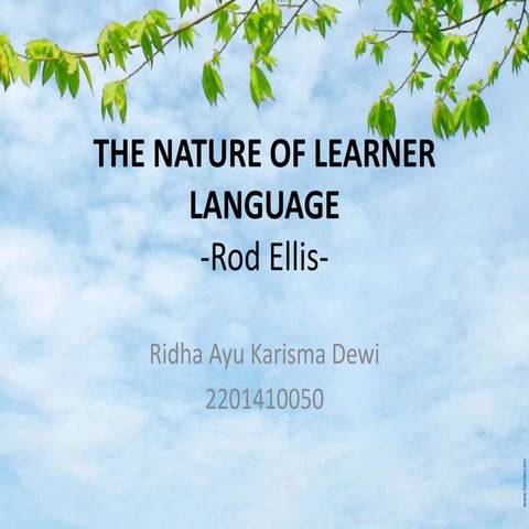 The nature of learner language