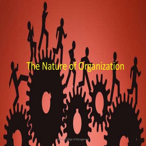 The Nature of Organization 