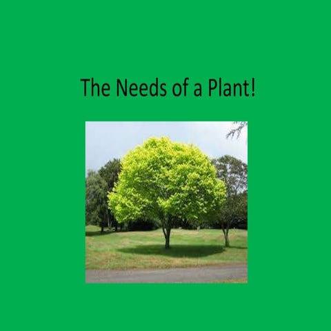 The needs of a plant!