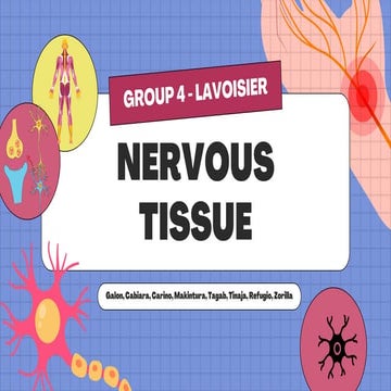 The Nerve Tissue a PPT presentation explaining the nerves