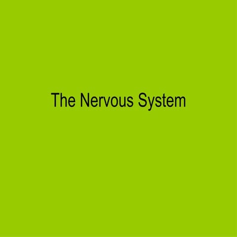 The nervous system