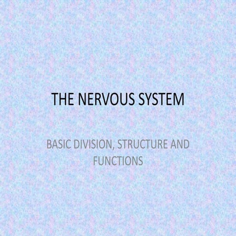 The nervous system