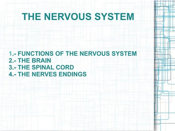 Nervous system | PPT