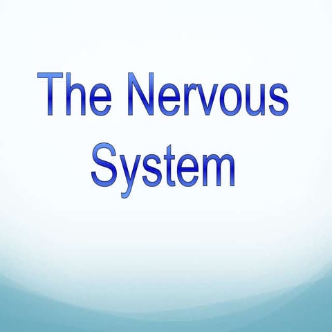 The nervous system