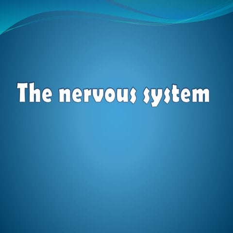 The Nervous System