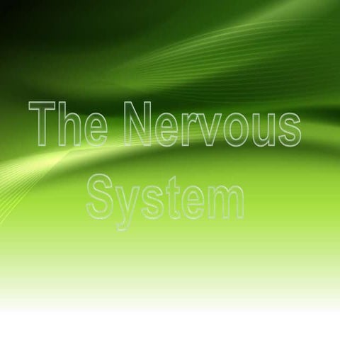 The nervous system