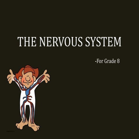 The nervous system