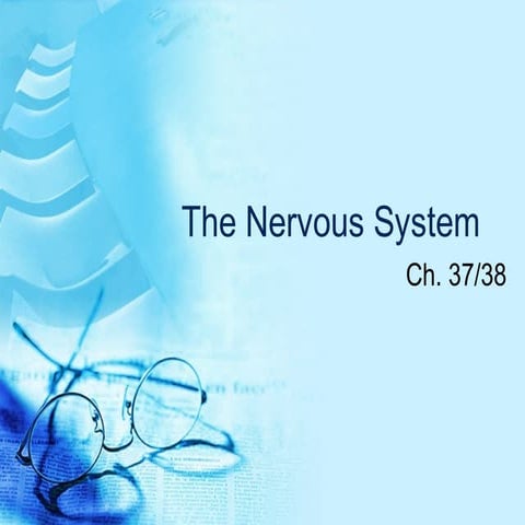 AP Biology The nervous system