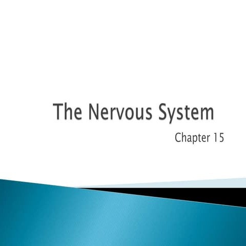 The nervous system