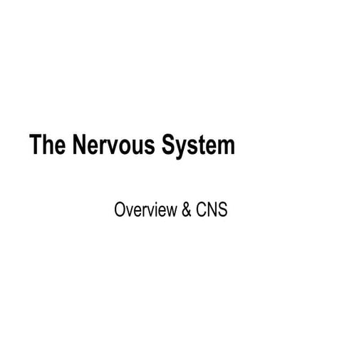 The nervous system