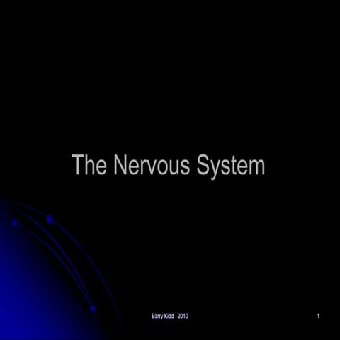 The nervous system
