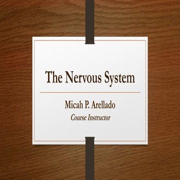 The Nervous System.pptx