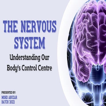 THE NERVOUS the nervous system the nervous system SYSTEM.pdf