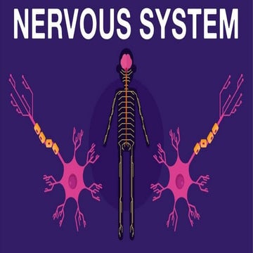 THE NERVOUS SYSTEM.pptx with lesson about nervous system