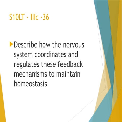 The Nervous System Pptx Power Point Presentation Pptx