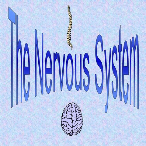 The nervous system[1]
