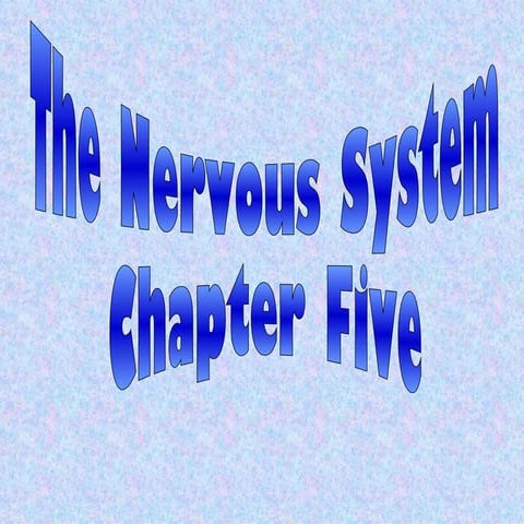 The nervous system (1)