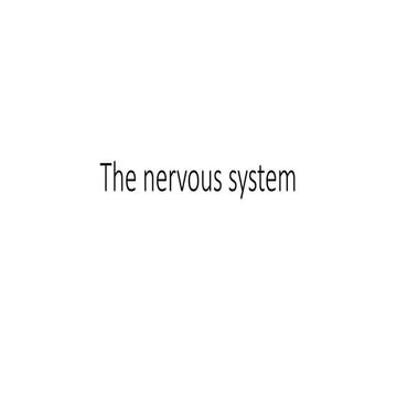 The nervous system_family health university college