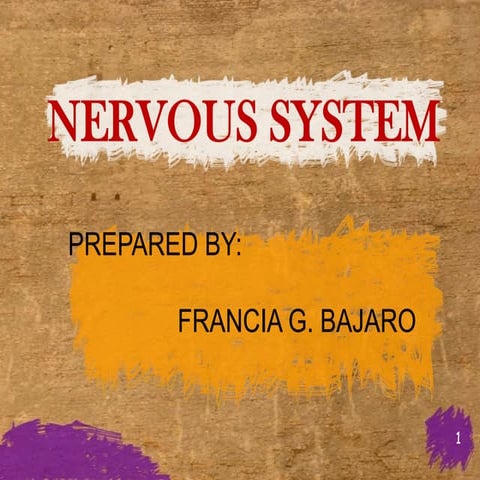 The nervous system2