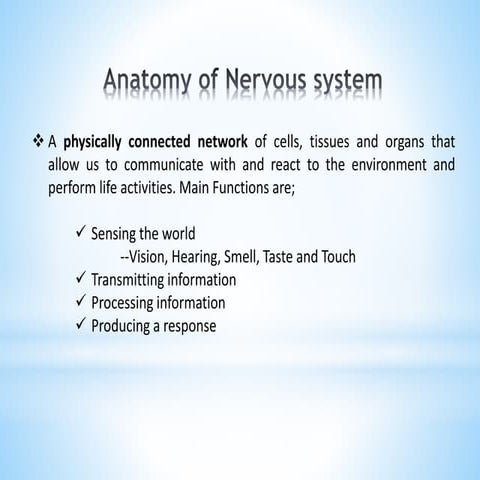 The nervous system
