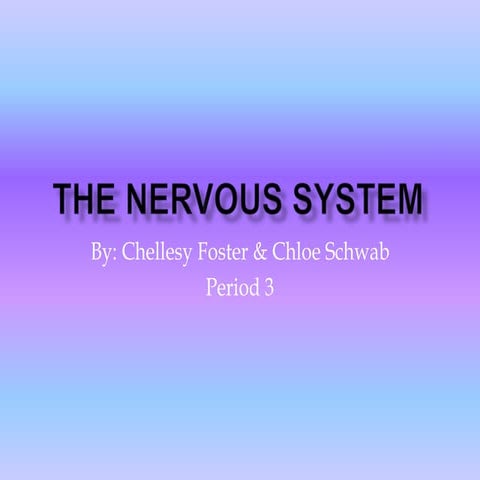 The nervous system 