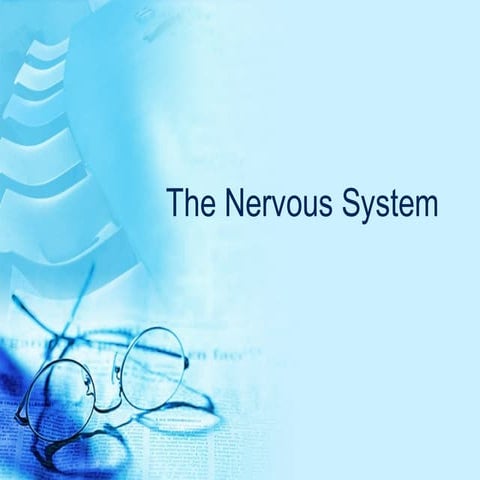 The nervous system for adv biology freshment
