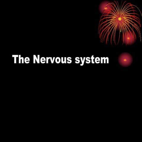 Nervous system 